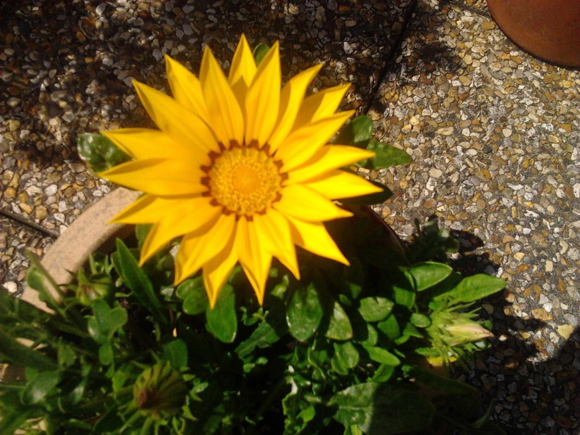 Rosslare Strand Rooms Only Accommodation Rosslare Harbour Bagian luar foto